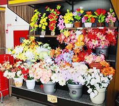 FLORICULTURA